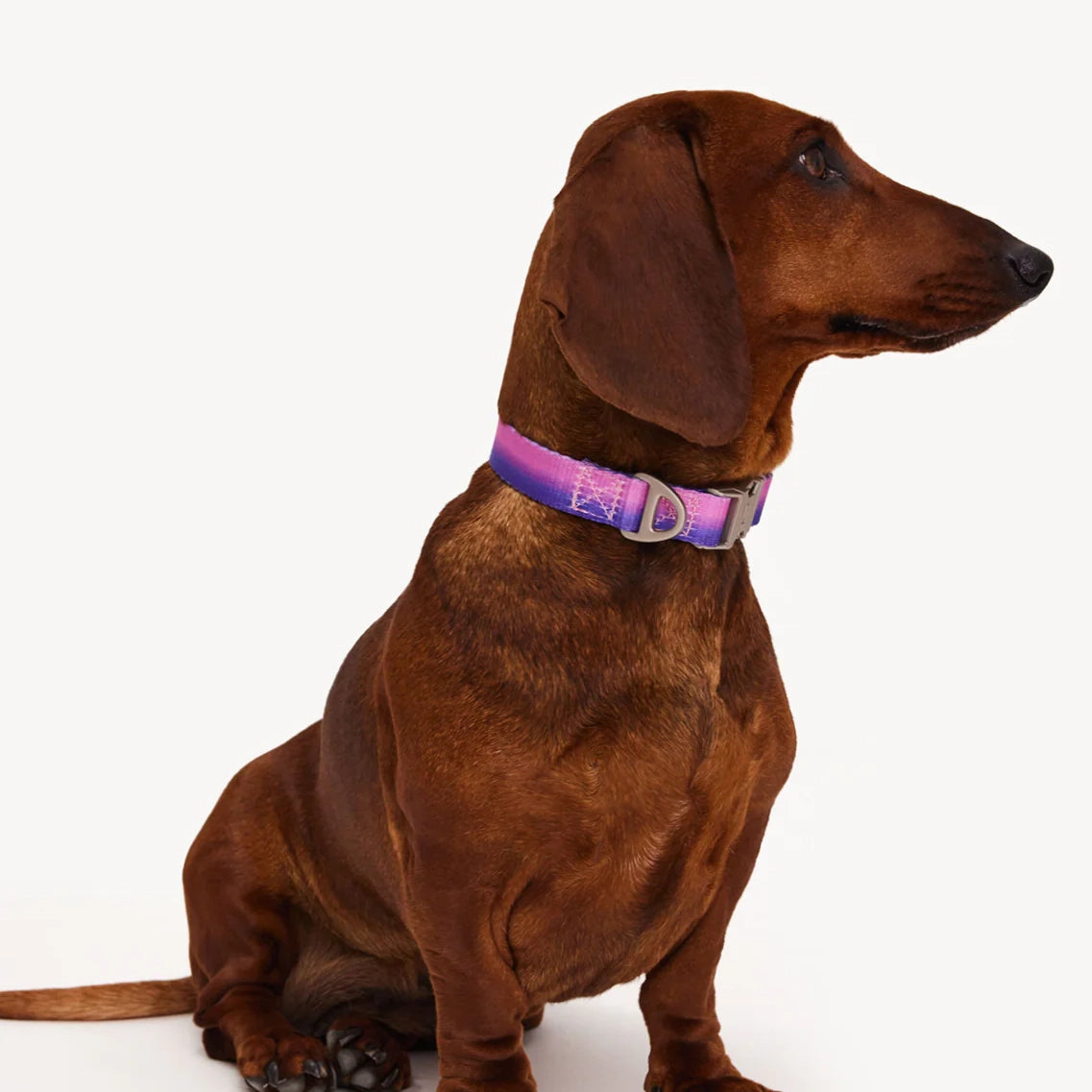 Collar degradado - Rosa/Morado