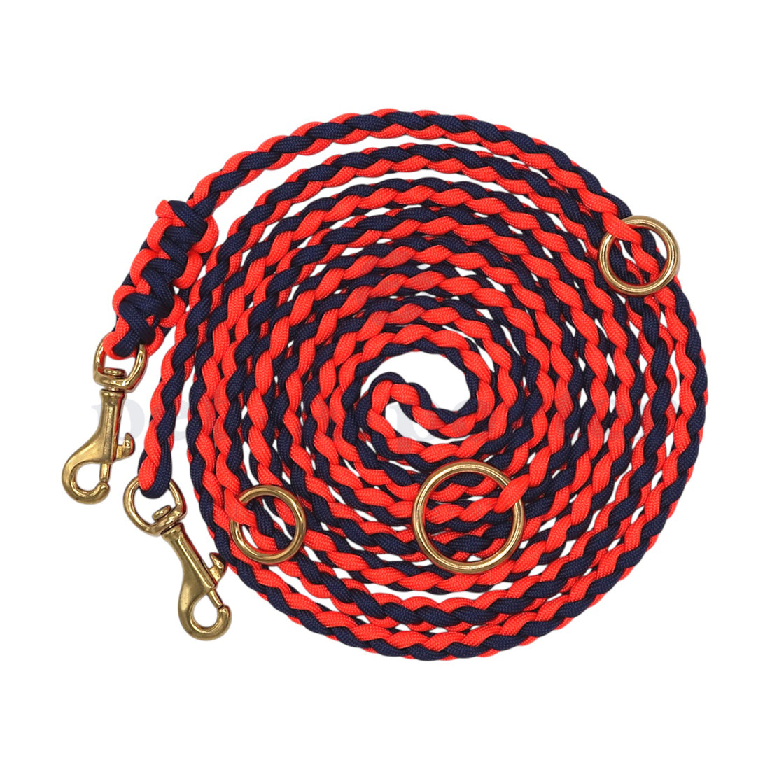 Adjustable Paracord Leash - Eddy