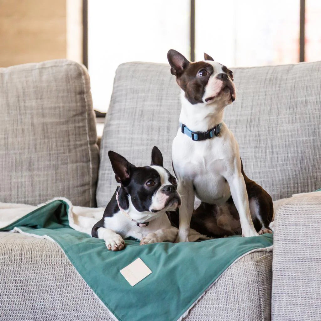 Reversible Blanket | Myrtle Green