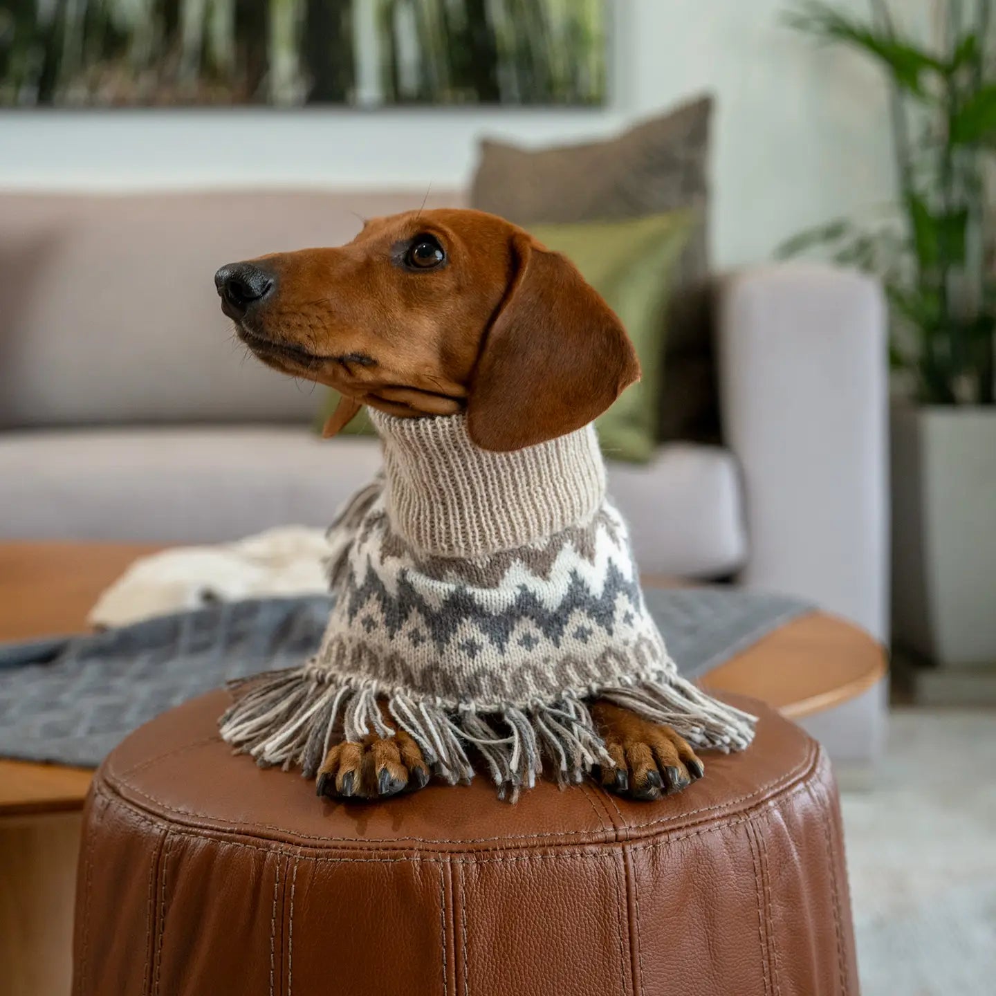 Woolly Winter Alpaca Poncho