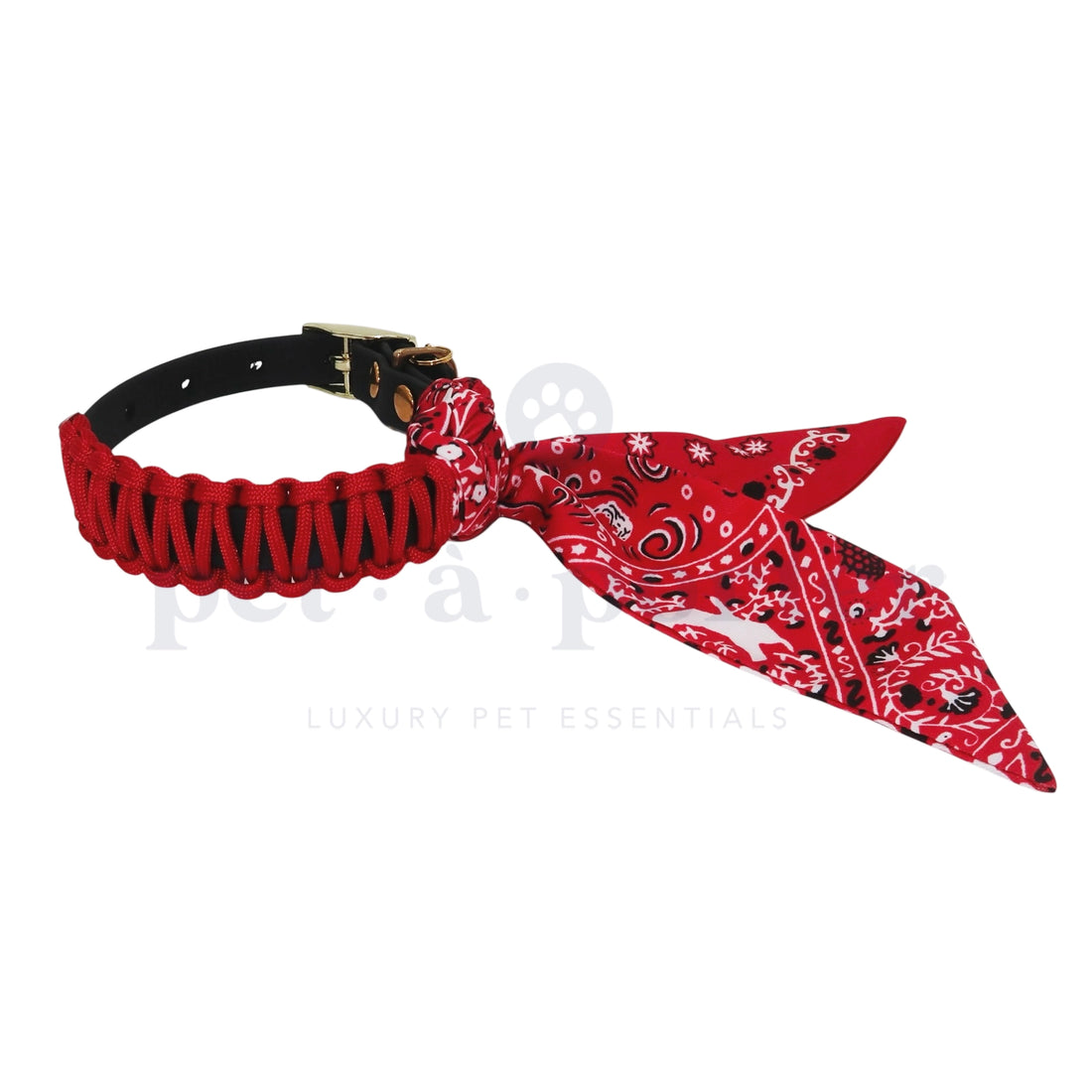 Florine Collar | Monza