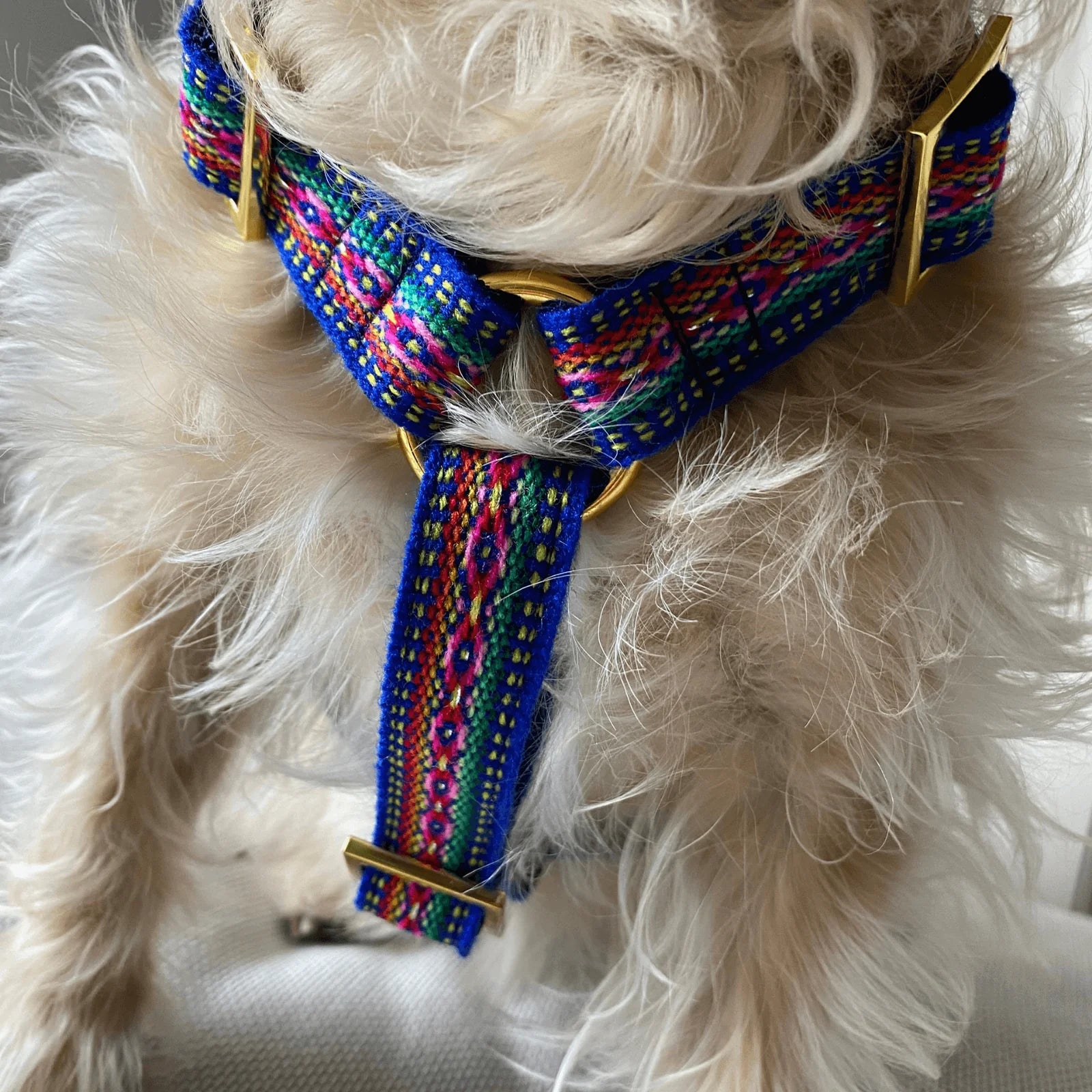 Harness Ibiza - Blue