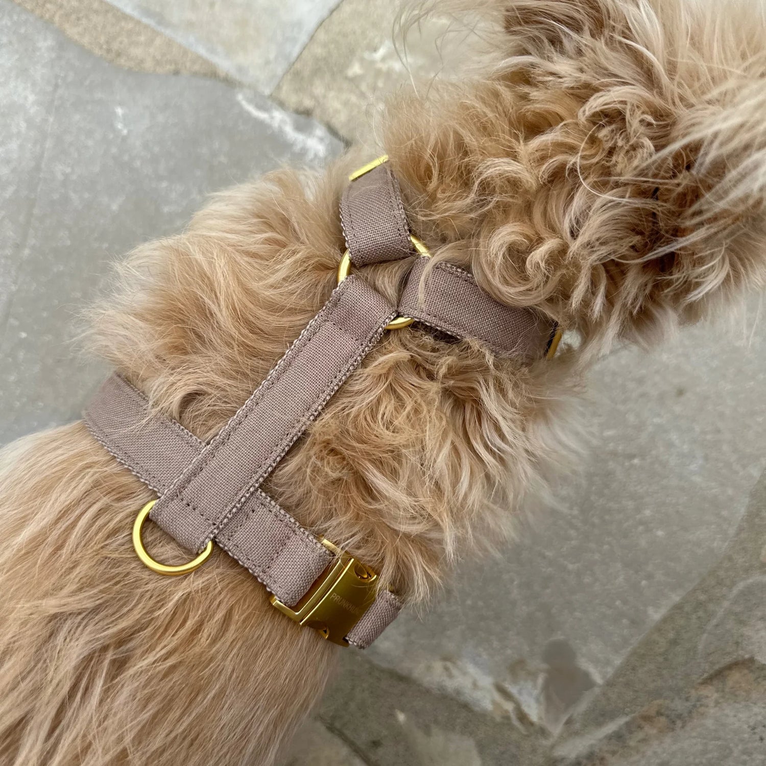 Harness Minimal - Tan