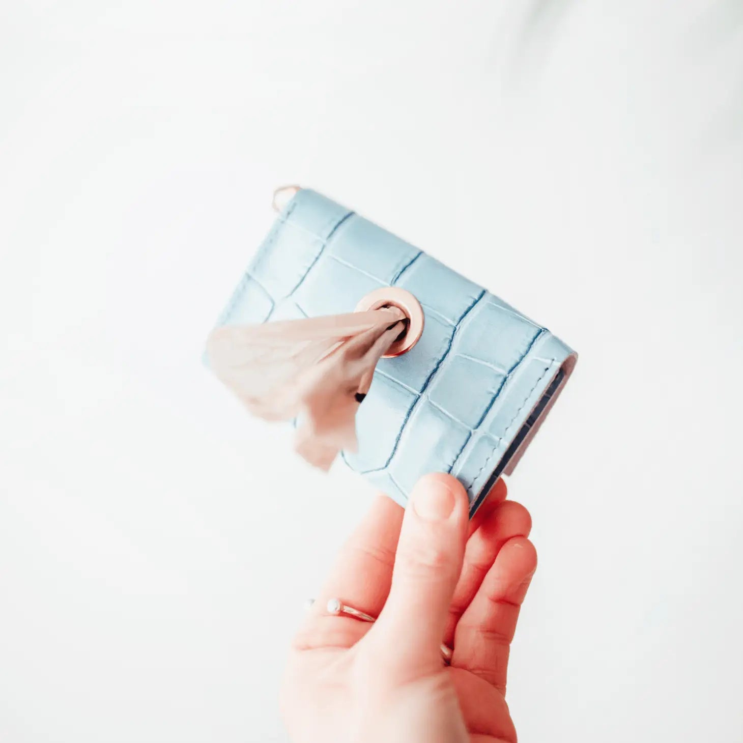 Porte-sac à crottes Lia - Bleu