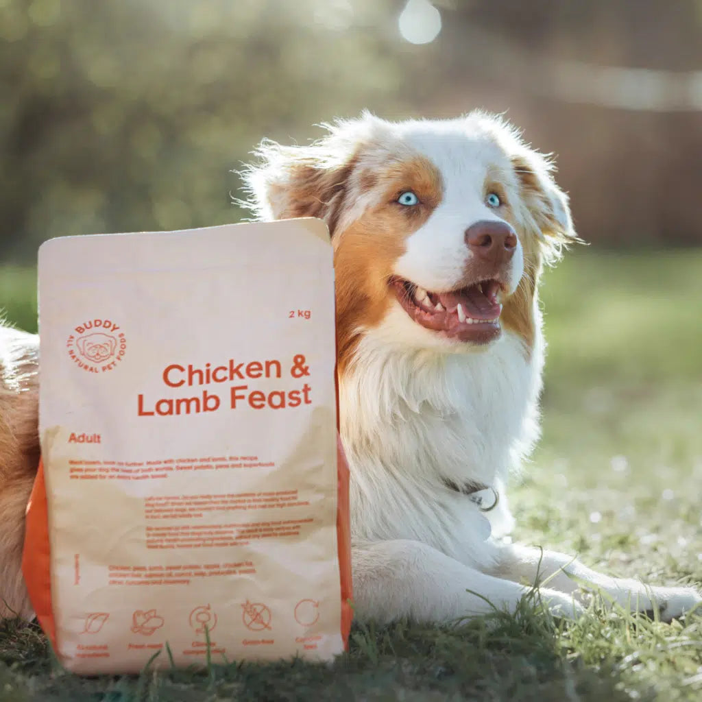 Chicken & Lamb Feast|Adult|Dog Kibble|100% Grain Free Dog Food