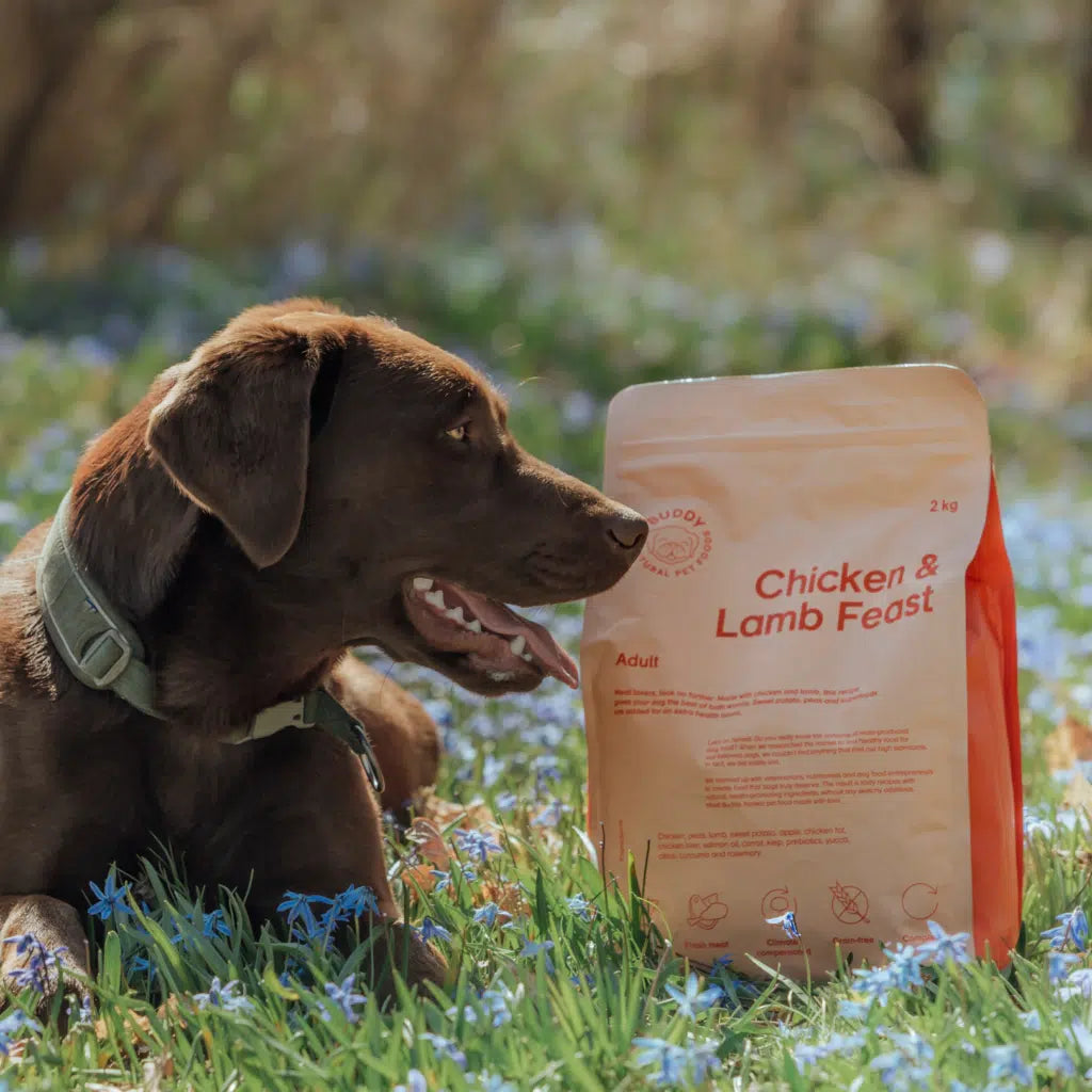 Chicken & Lamb Feast|Adult|Dog Kibble|100% Grain Free Dog Food