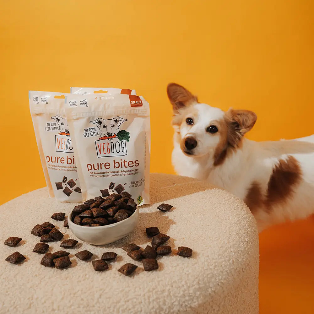 VEGDOG - Pure Bites