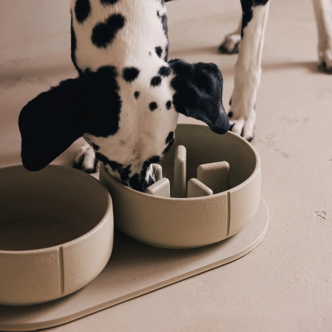 Slow Feeder Bowl - Owl Greige