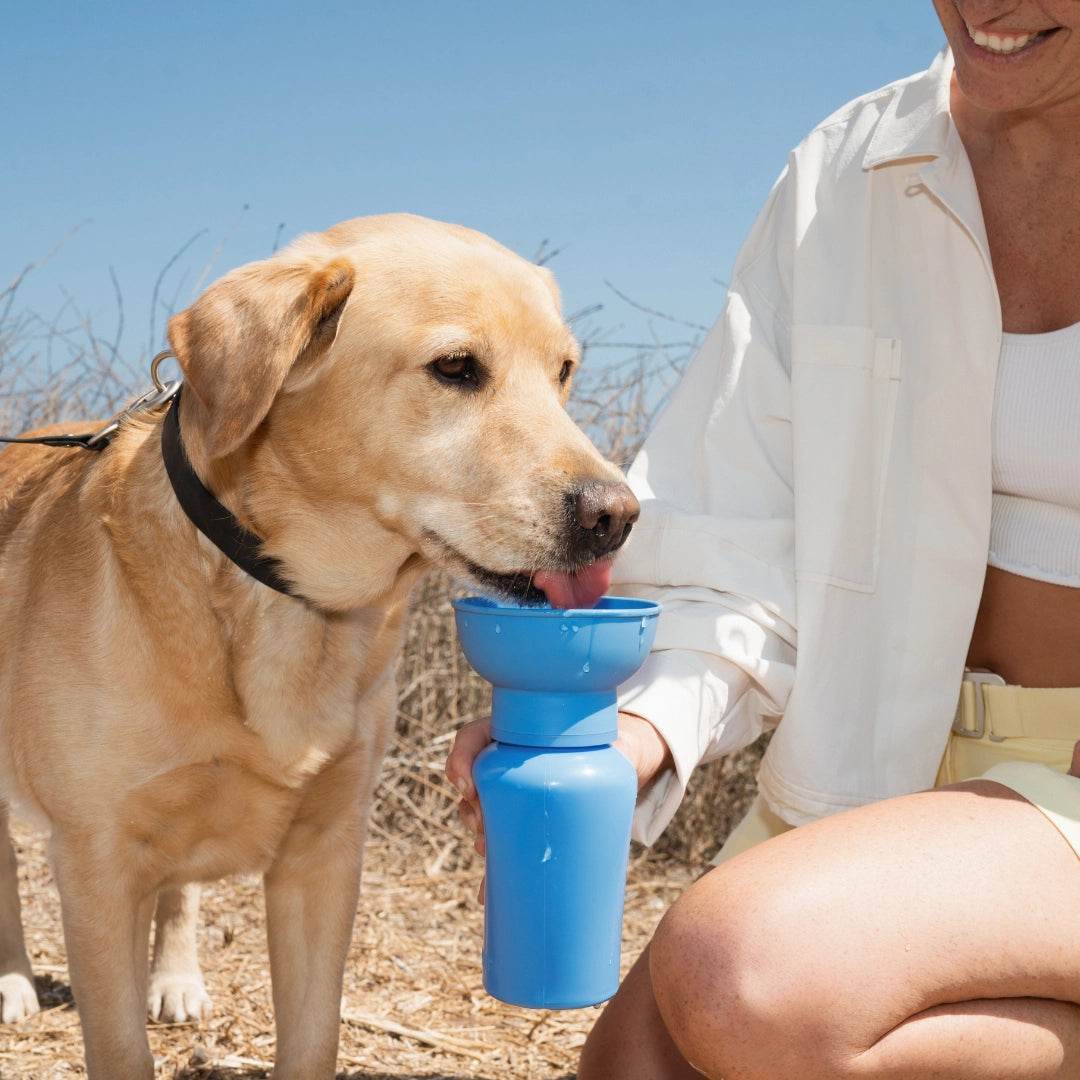 Flip Dog Travel Bottle - Blueberry