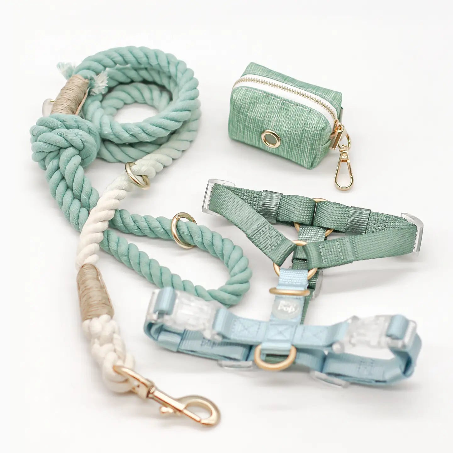 Laisse en corde de coton Ombre Pastel | Vert Chasseur
