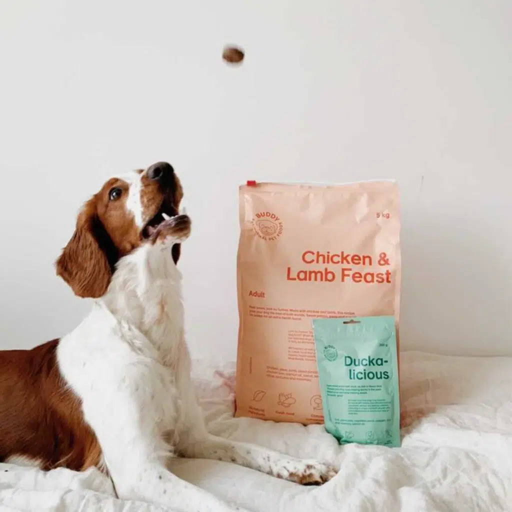 Chicken & Lamb Feast|Adult|Dog Kibble|100% Grain Free Dog Food