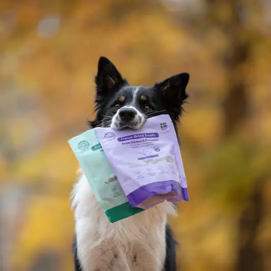 Freeze-Dried Treat | Chicken & Phaesant