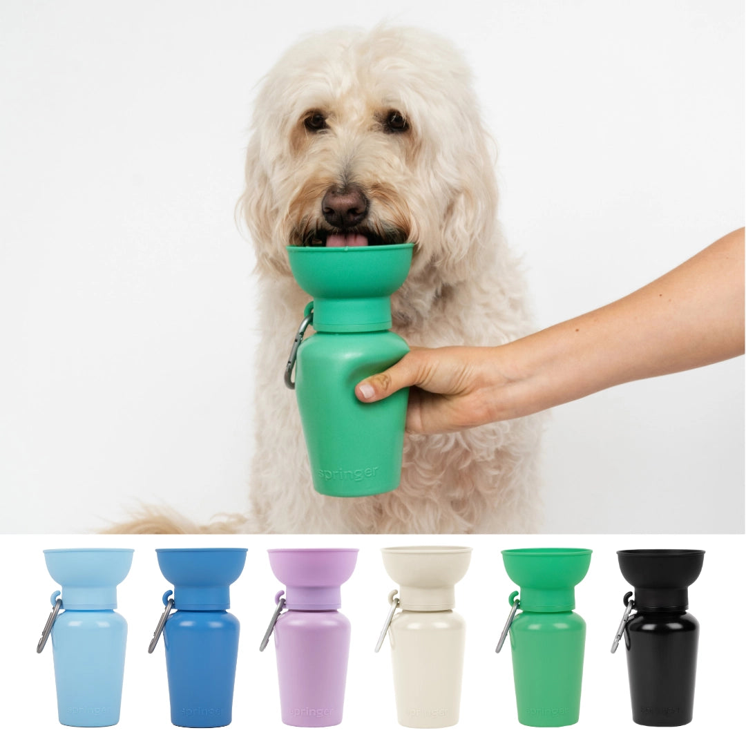 Bouteille de voyage Flip Dog - Springer Green