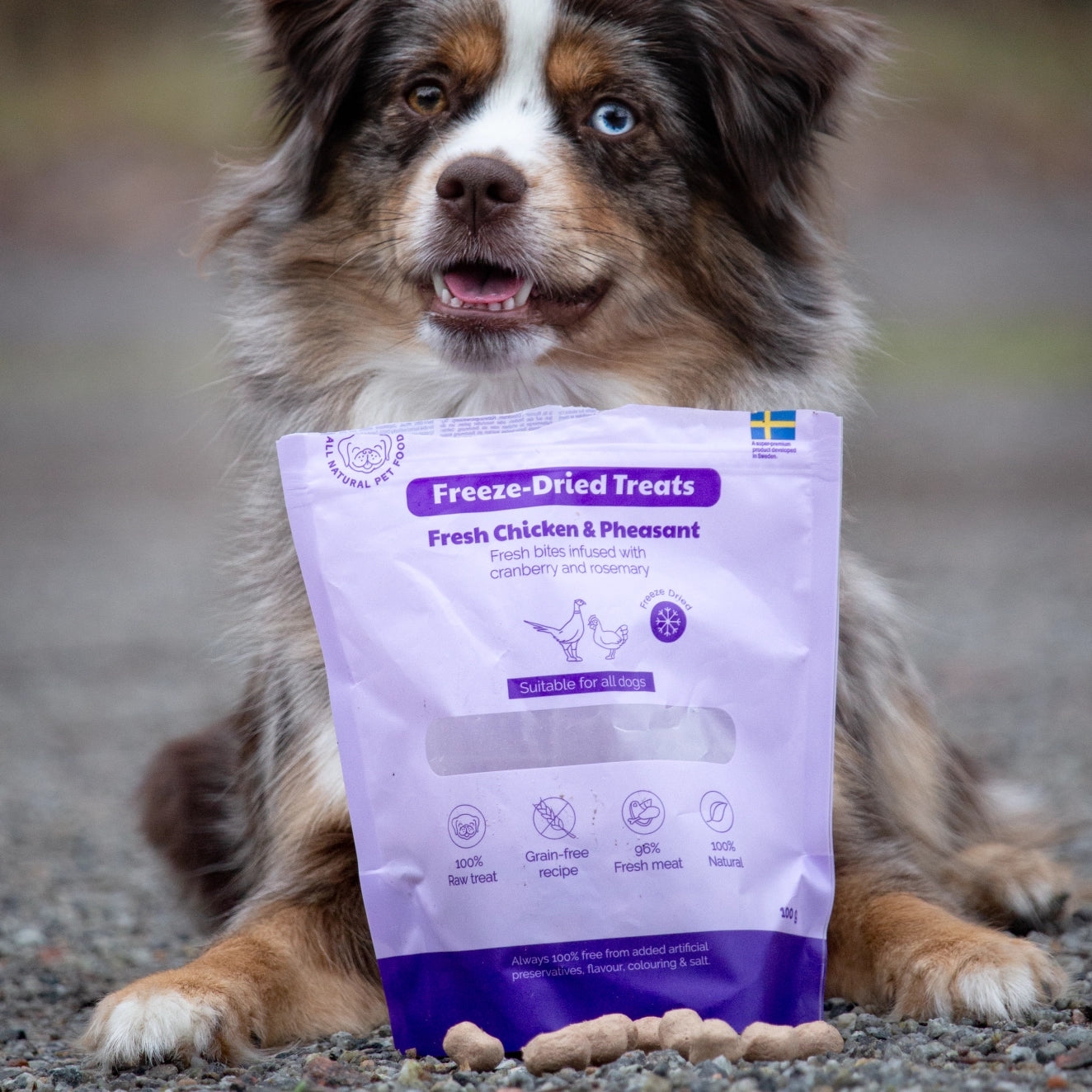 Freeze-Dried Treat | Chicken & Phaesant