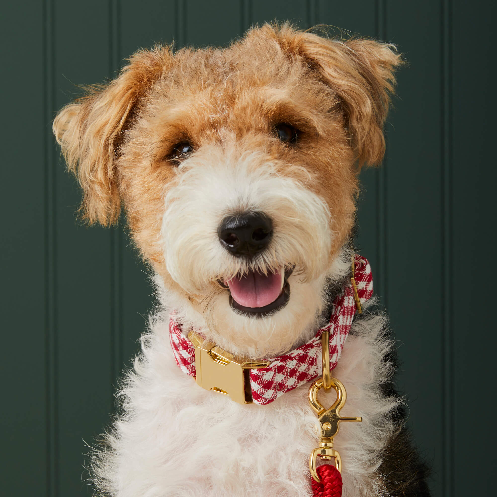 Red Gingham Bow Tie Collar