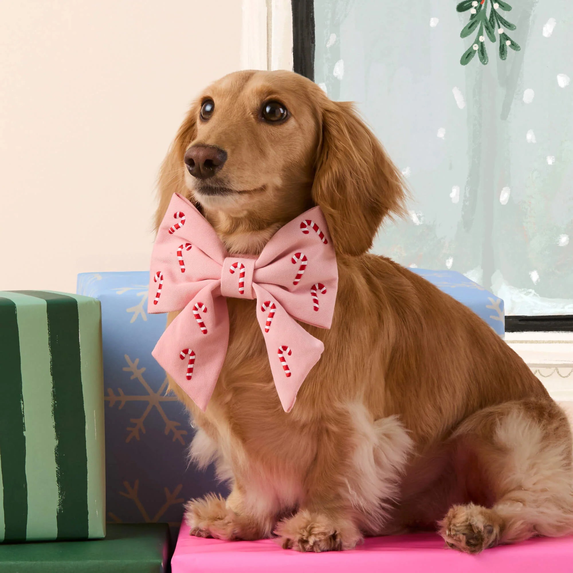 Candy Canes Embroidered Bow Tie Collar | Blush Pink