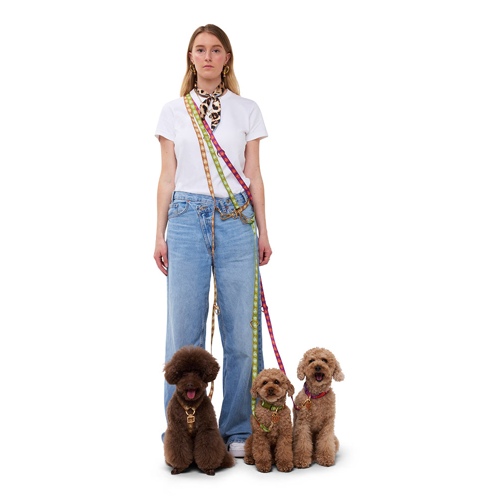 Leash - Matcha Green