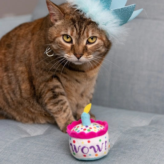 Mewow Cake | Cat Toy