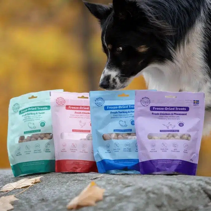 Freeze-Dried Treat | Raw Chicken