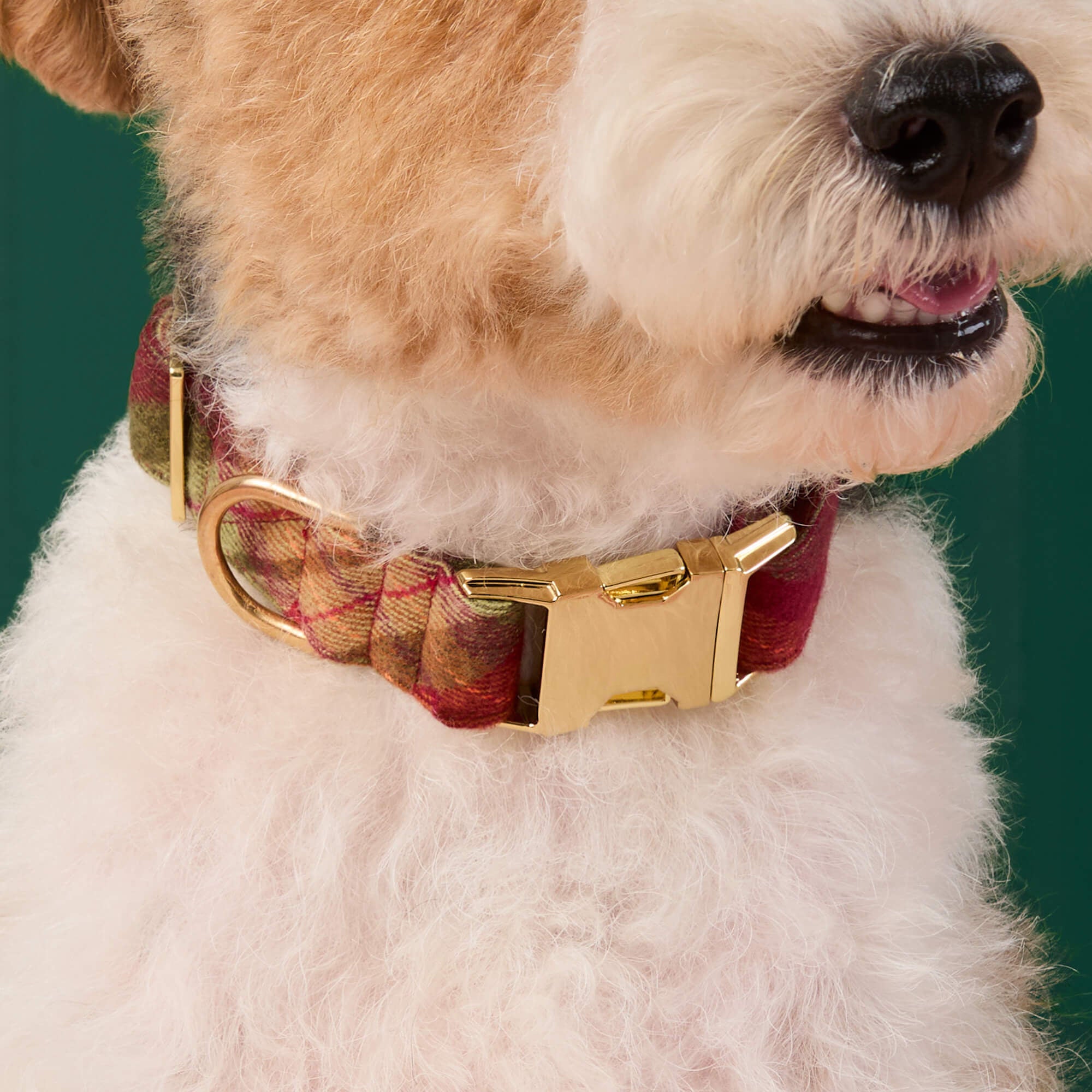 Orchard Plaid Flannel Bow Tie Collar