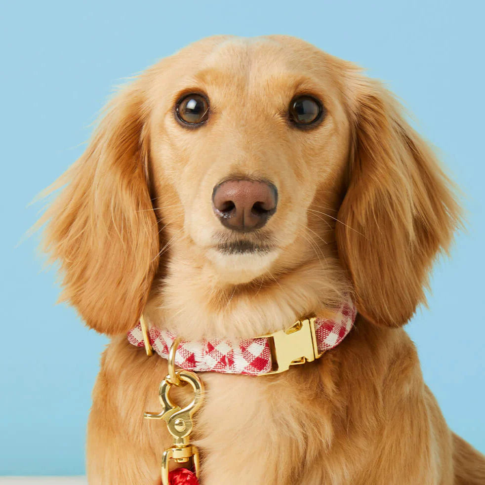 Red Gingham Bow Tie Collar