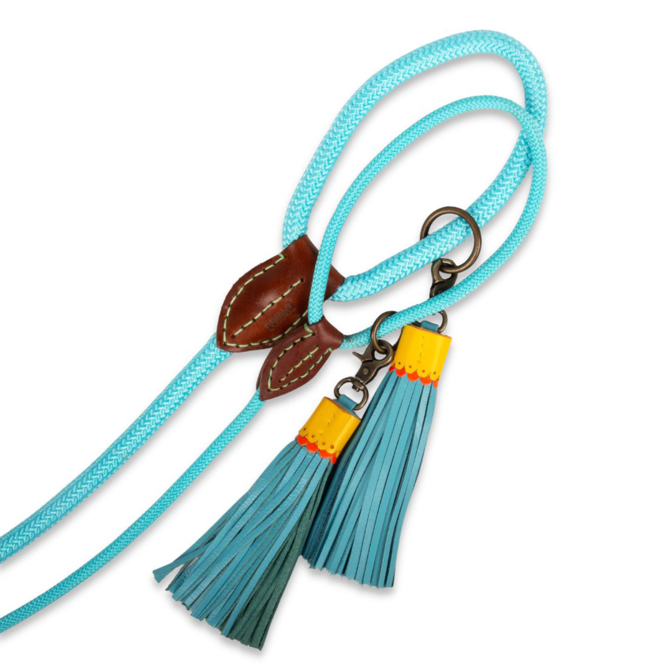 Laisse pour chien Blues