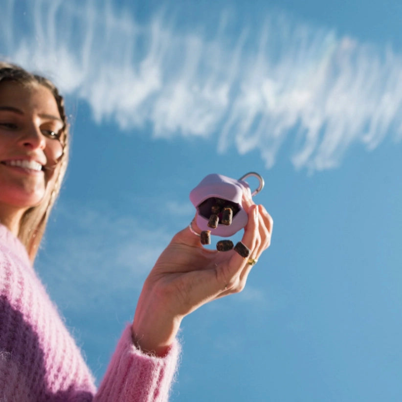 Distributeur de friandises pour chiens en silicone - Lilas