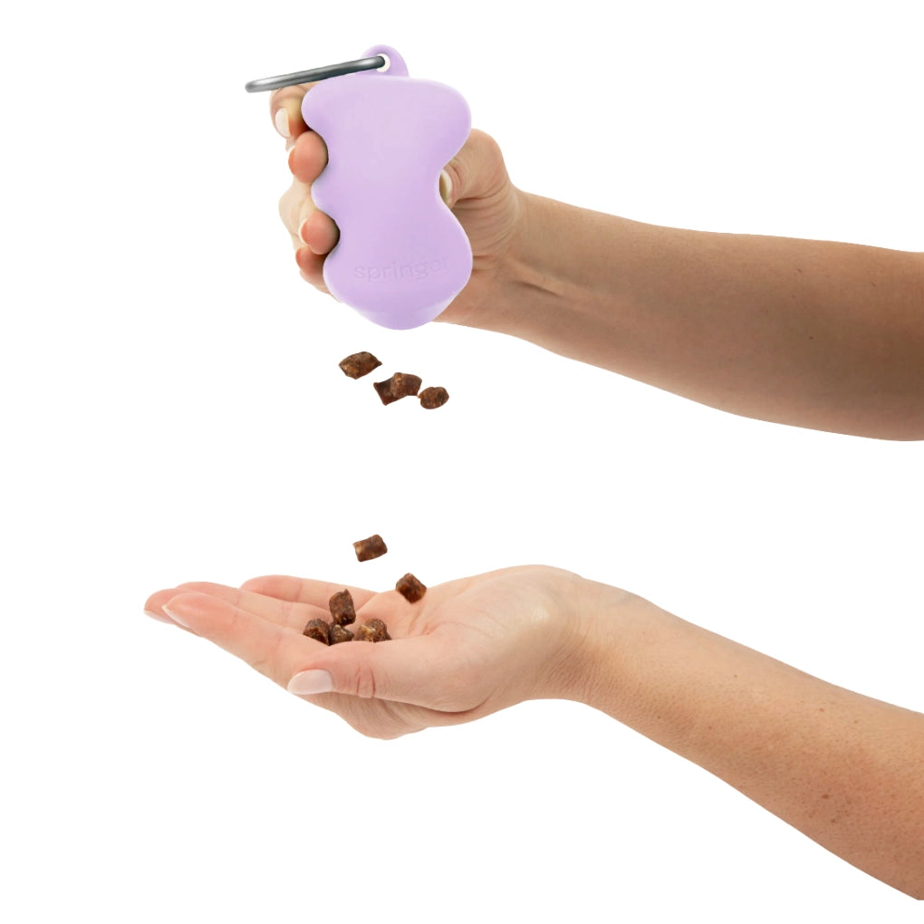 Distributeur de friandises pour chiens en silicone - Lilas