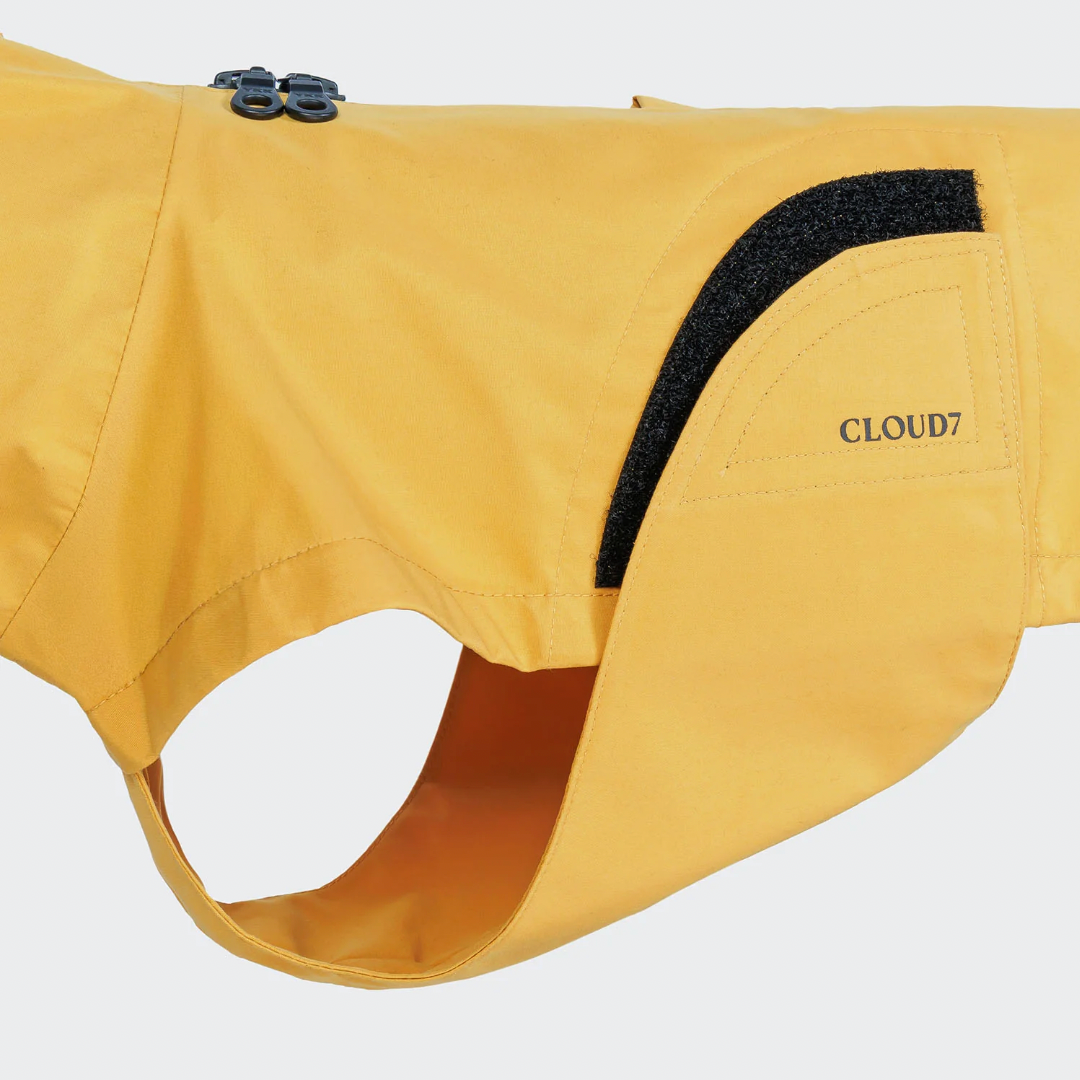 Cloud7 Dublin 2.0 Raincoat DACHSHUND - Yellow