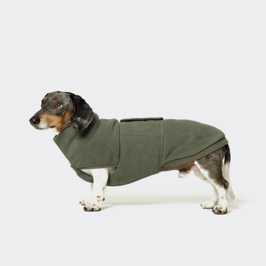 Cloud7 Derby Fleece Sweater DACHSHUND - Khaki
