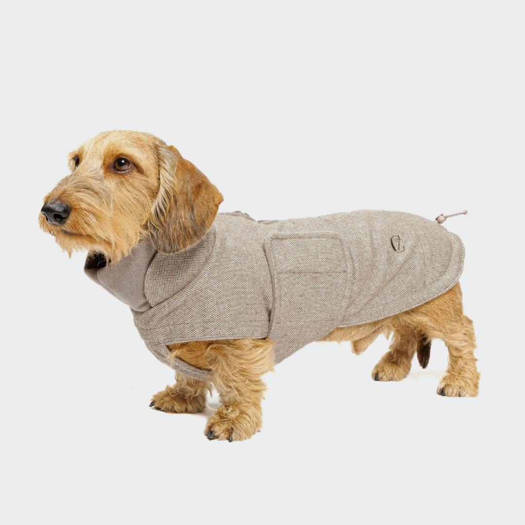 Cloud7 Brooklyn Coat DACHSHUND - Tweed Beige