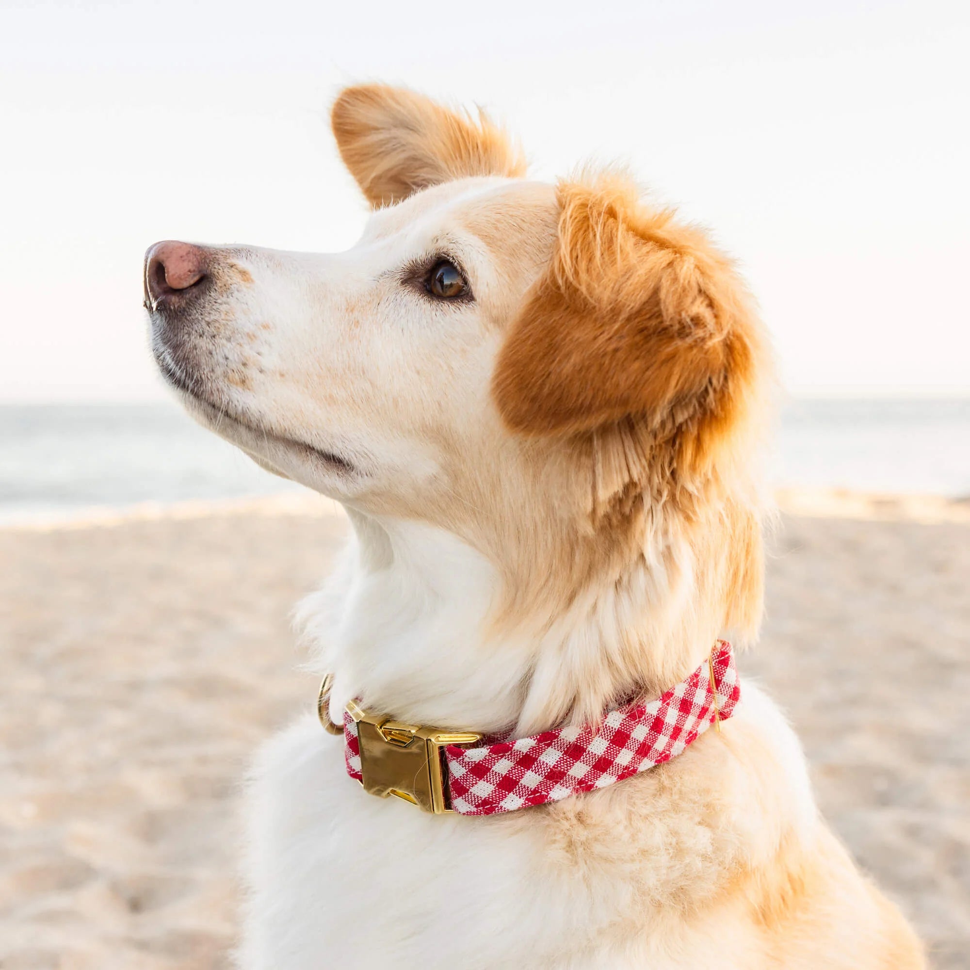 Red Gingham Bow Tie Collar