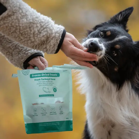 Freeze-Dried Treat | Raw Turkey & Tuna