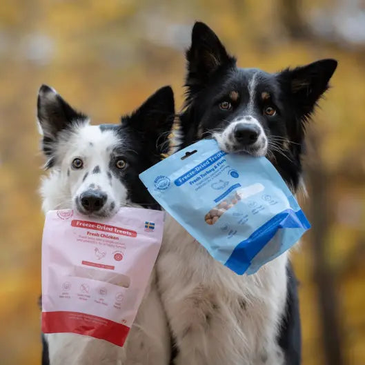 Freeze-Dried Treat | Raw Turkey & Fish