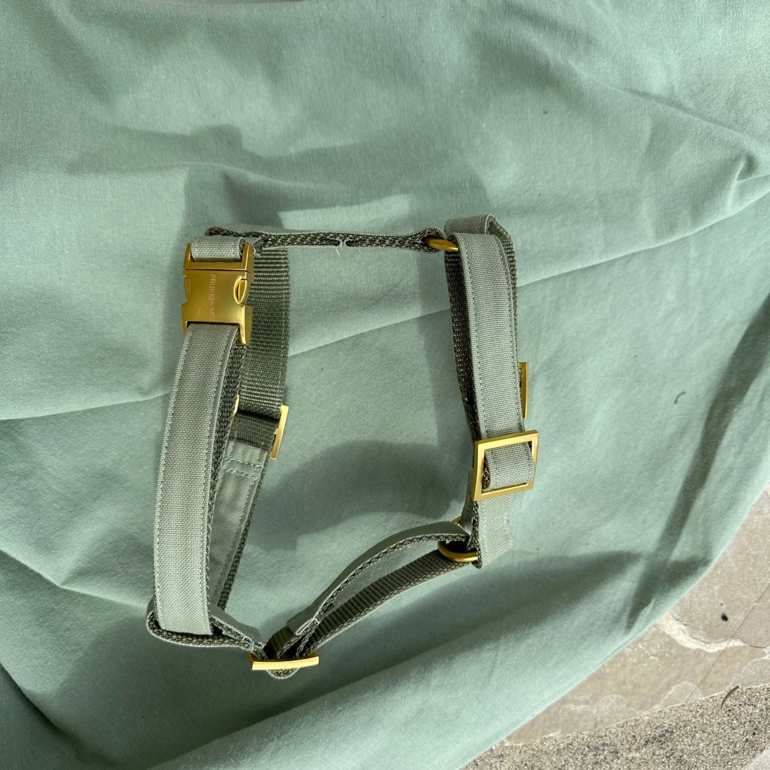 Harness Minimal - Olive