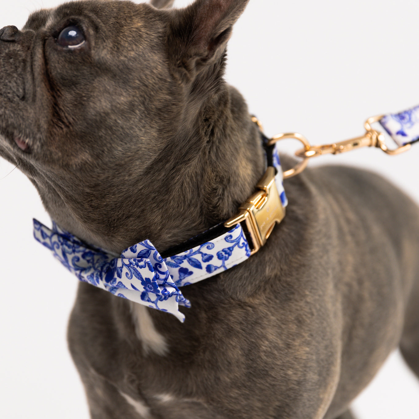 Ensemble d'Amsterdam