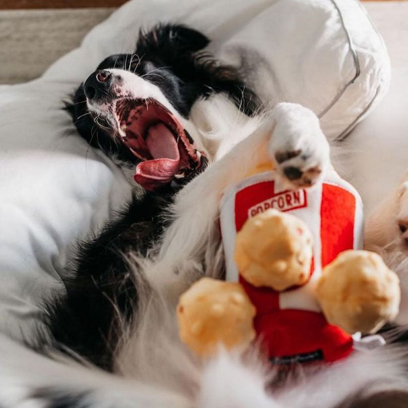 Zippy Burrow™ - Popcorn Bucket