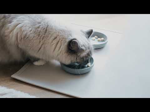 Set de table Serve - Gris foncé