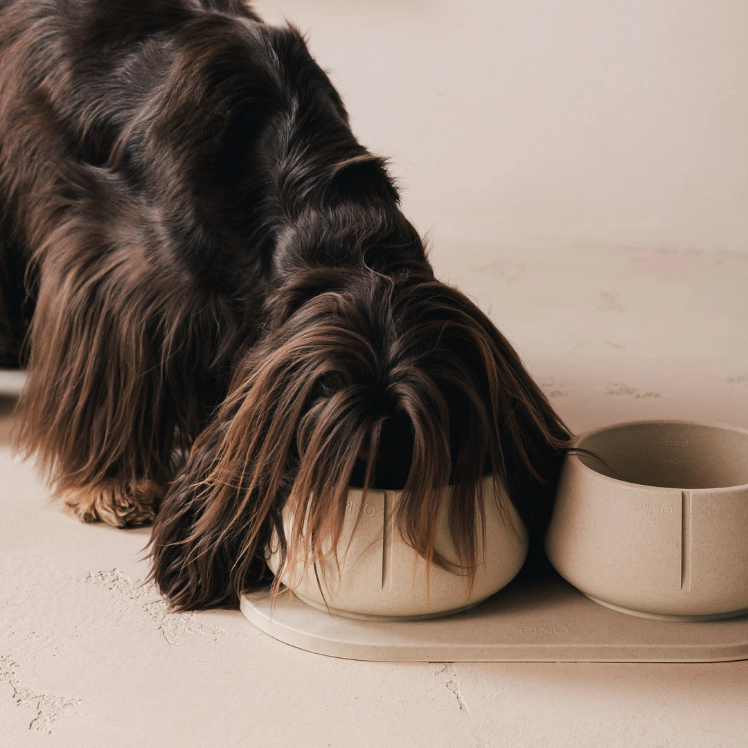 Serving Tray - Owl Greige