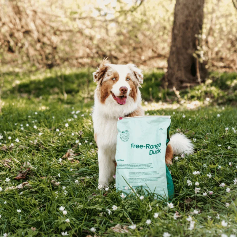 Free-range Duck|Active|Dog Kibble|100% Grain Free Dog Food