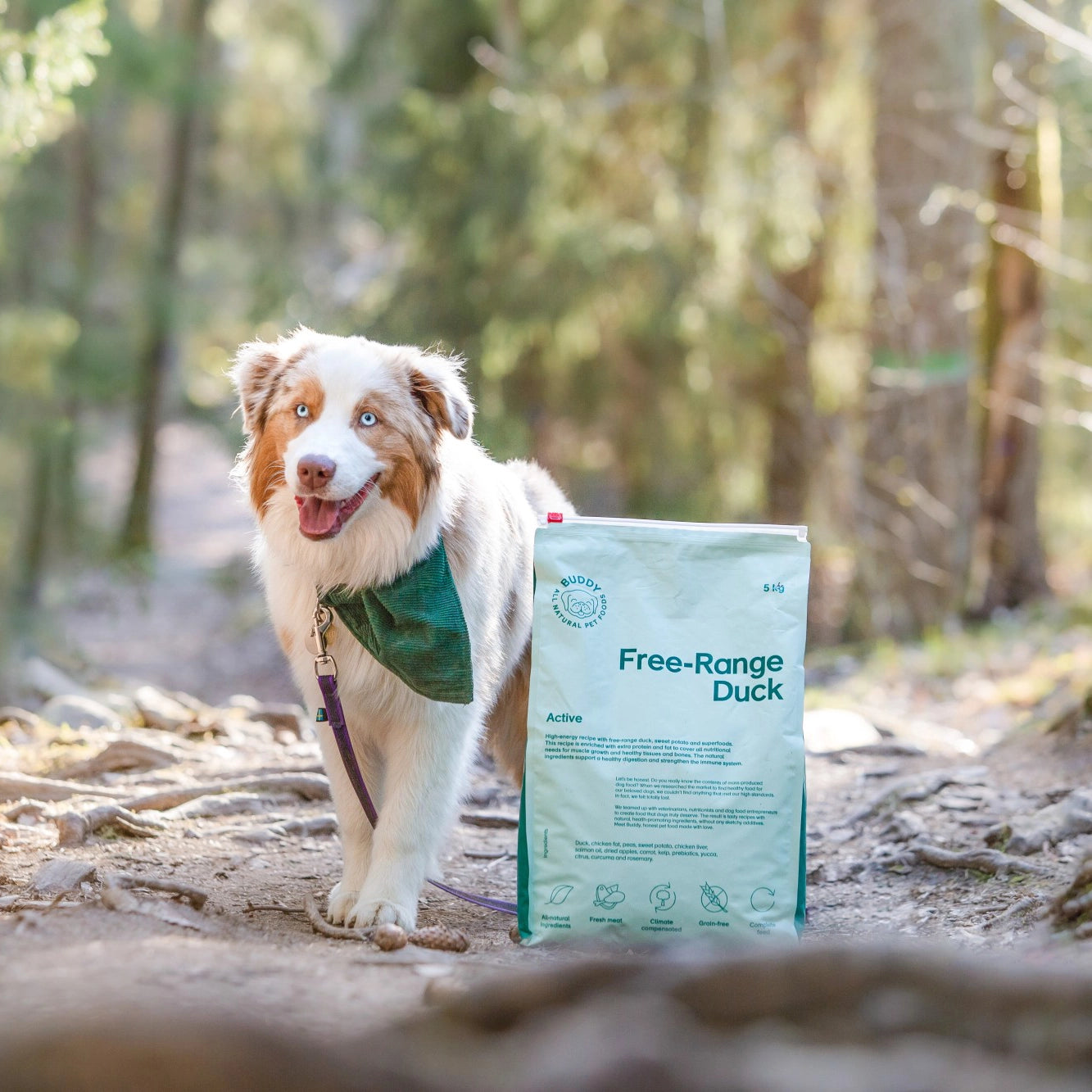 Free-range Duck|Active|Dog Kibble|100% Grain Free Dog Food