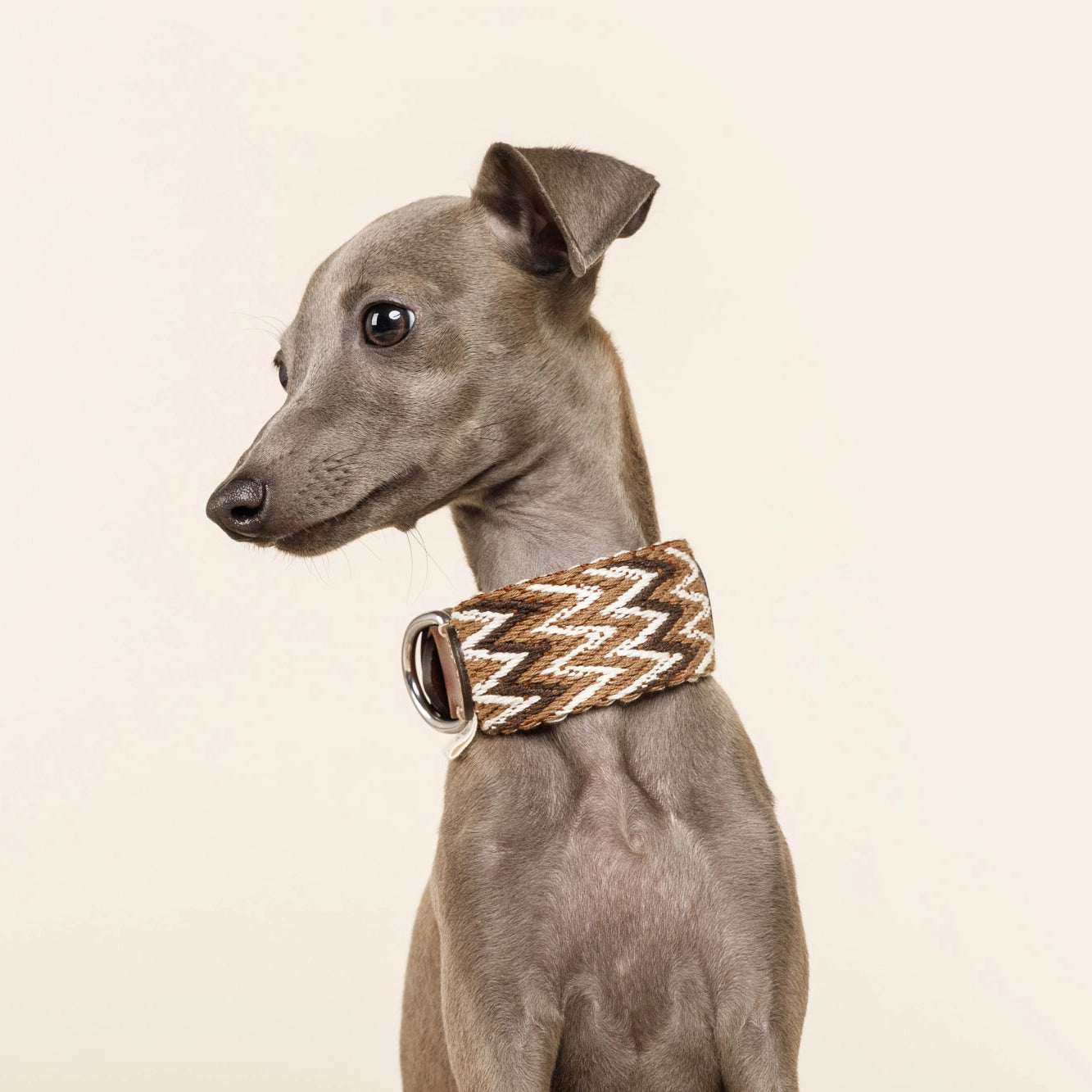 Peruaanse bruine halsband