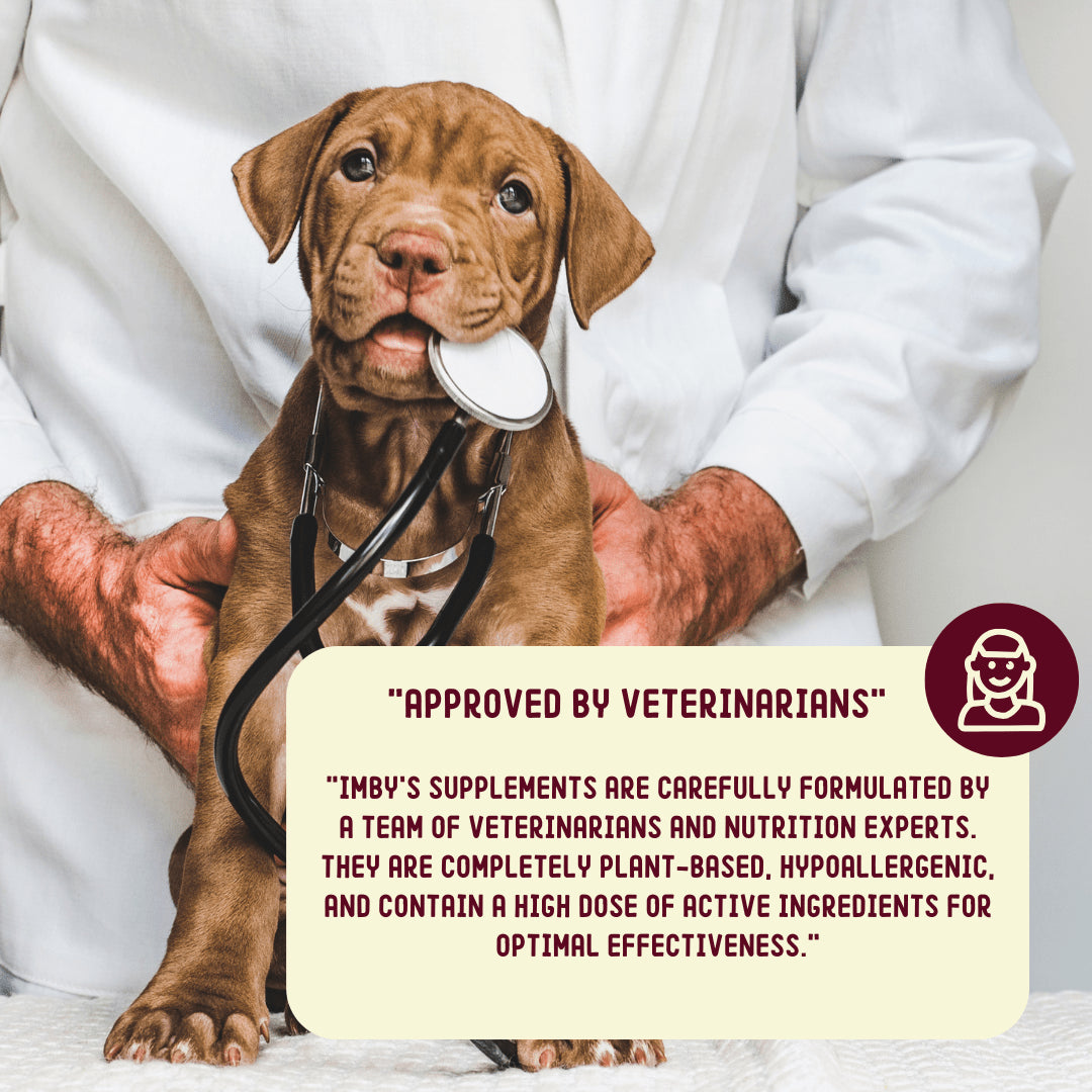 Allergy & Itch | Supplement Chews for Dogs