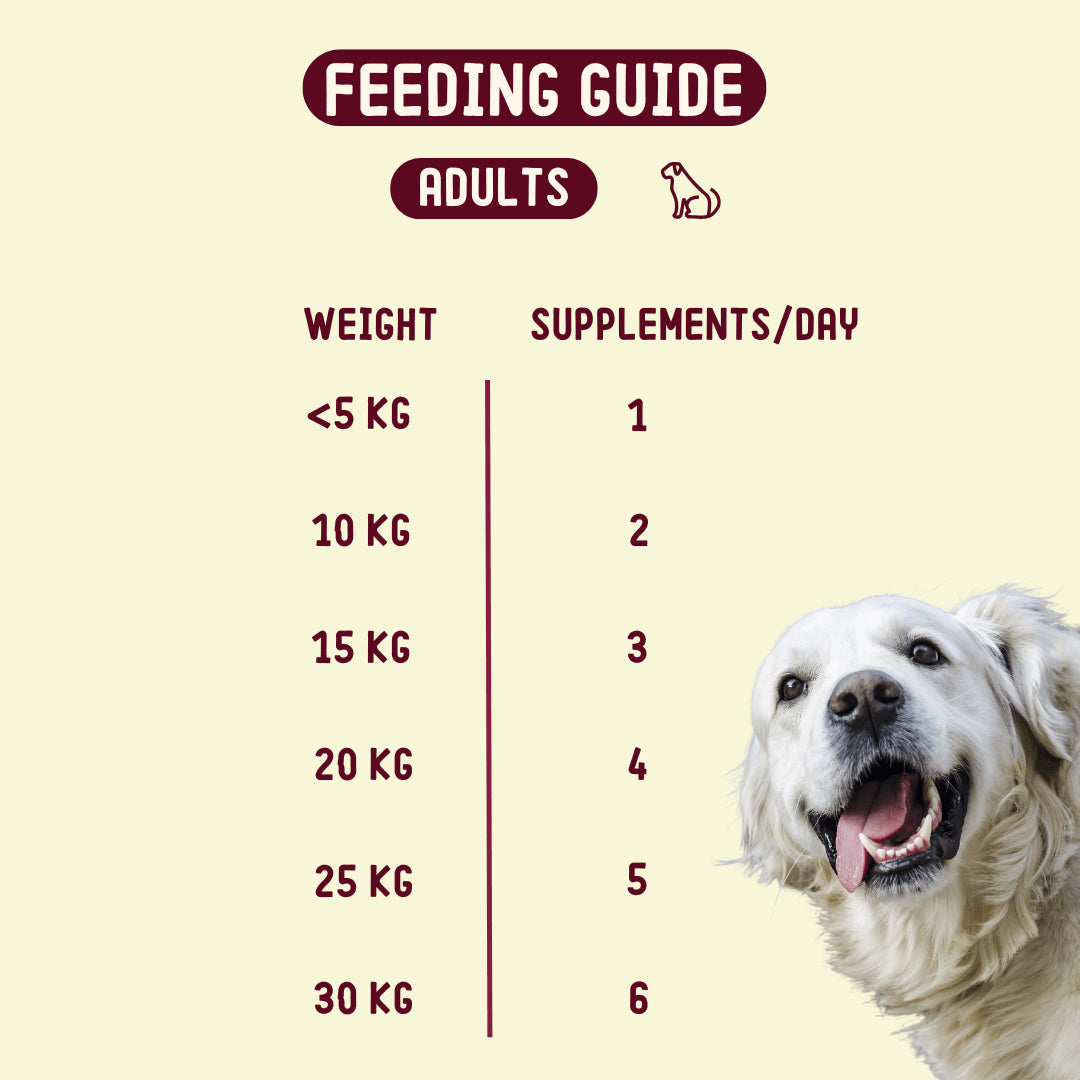Allergy & Itch | Supplement Chews for Dogs