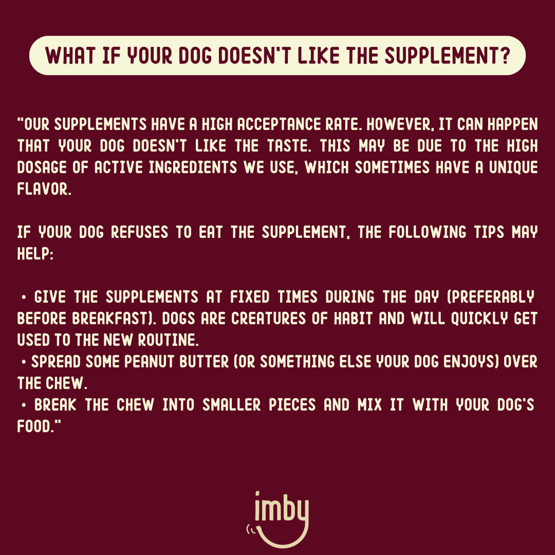 Allergy & Itch | Supplement Chews for Dogs