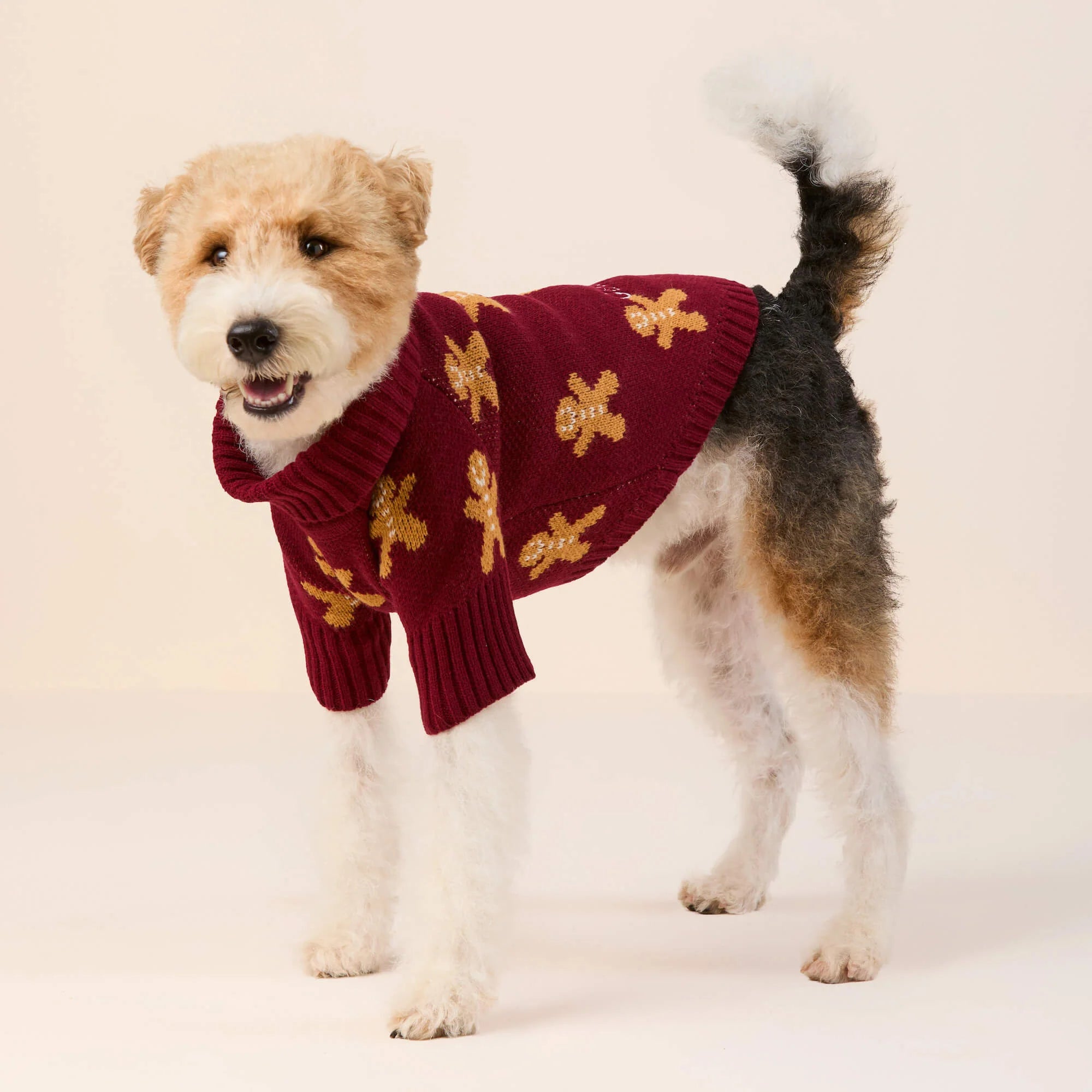 Gingerbread Man Dog Sweater