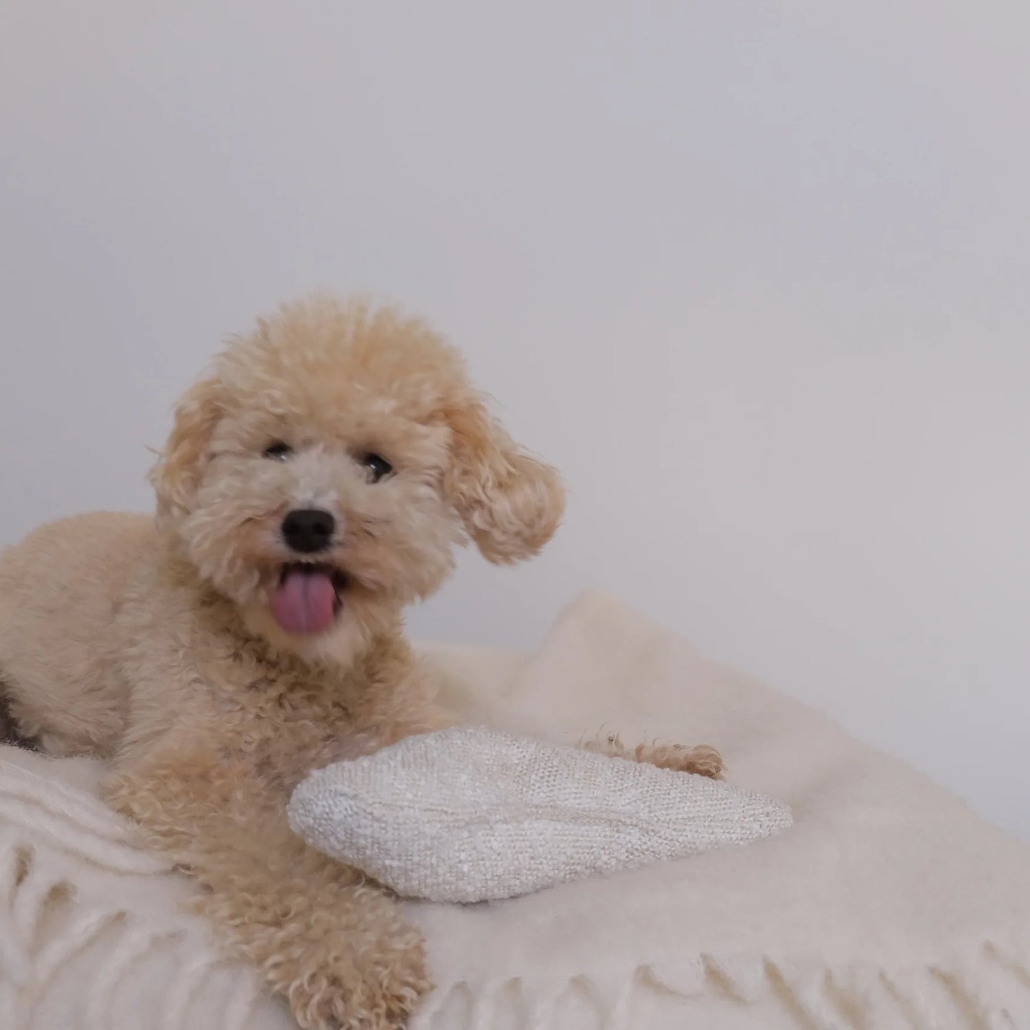 Cloud Toy