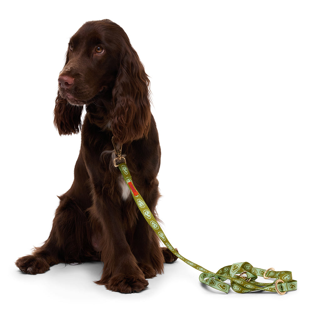 Leash - Matcha Green