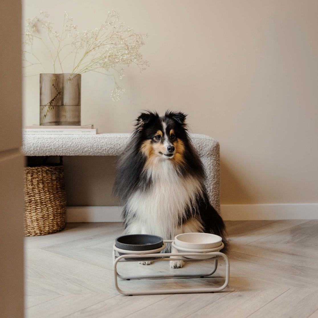 Butler Raised Bowl Standard - Beige