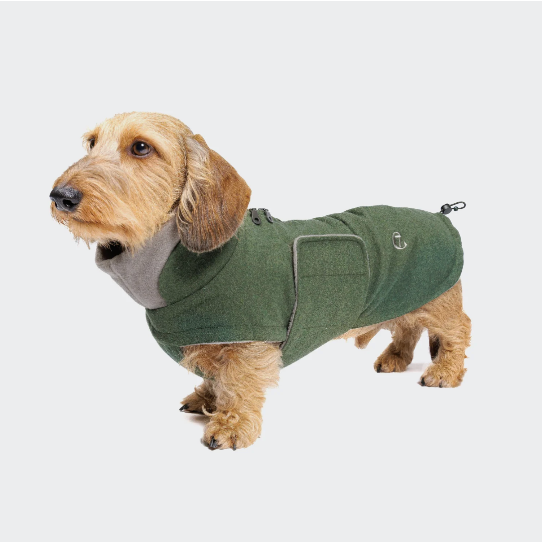 Cloud7 Brooklyn Flannel Coat DACHSHUND - Fern Green